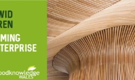 The future of timber in Wales